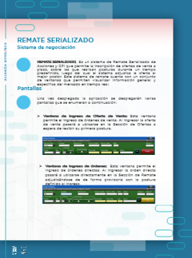 Remate Serializado Brochure